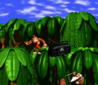 une photo d'Ã©cran de Donkey Kong Country sur Nintendo Super Nes